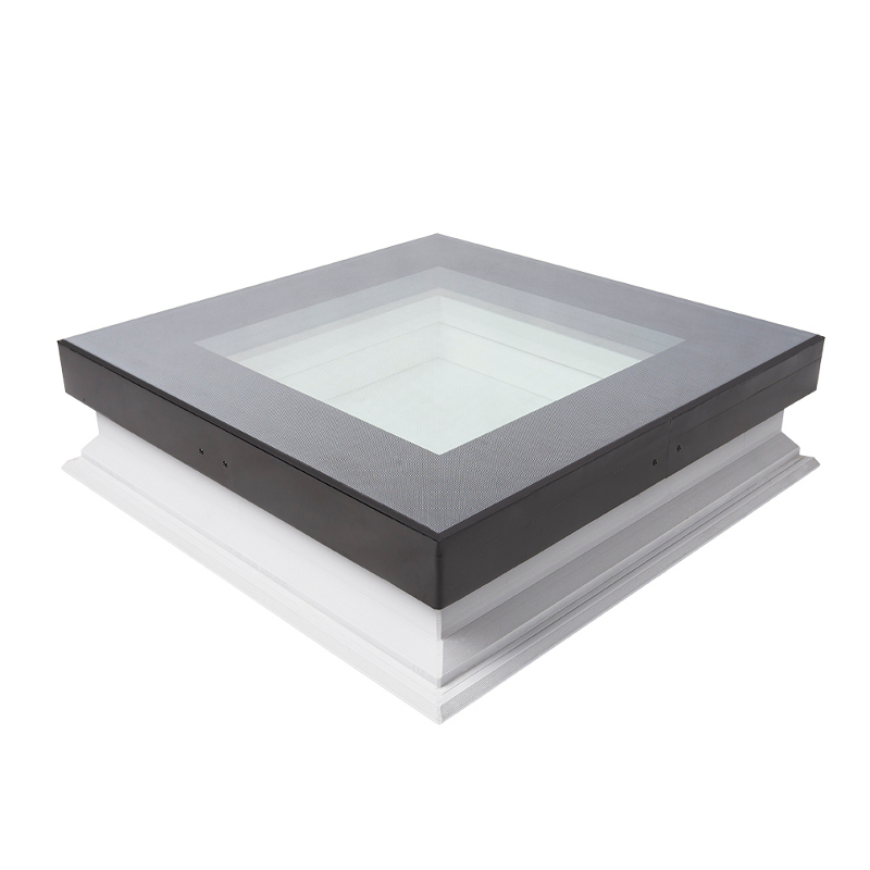 DXW walkable skylight image